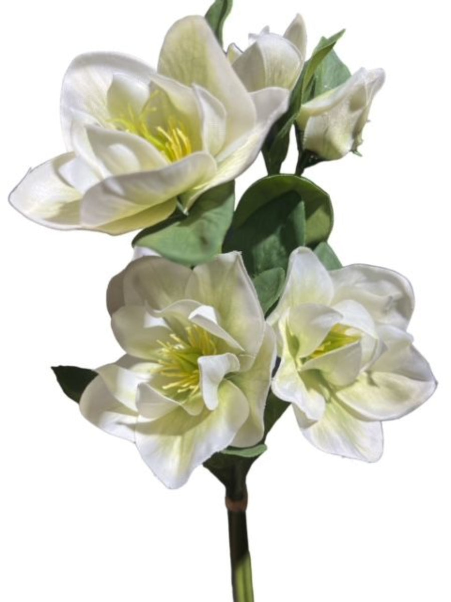 2x Künstliche Christrosenbund x3 L35cm Christrose creme/grün Kunstblum – finehomegarden