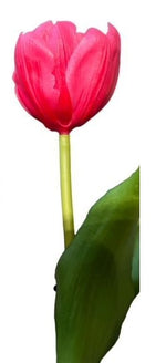 Lade das Bild in den Galerie-Viewer, 6x Tulpen künstlich mini L19cm Real Touch Kunstblumen pink Frühling Deko
