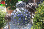 Lade das Bild in den Galerie-Viewer, Gartenstecker Metall Allium XXL Deko Purple &quot;ArtFerro&quot; Blütenkugel Ø29cm H140cm
