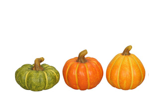 Kürbis bunt 3fach sort. Terrakotta Herbstdeko H10cm - 13cm