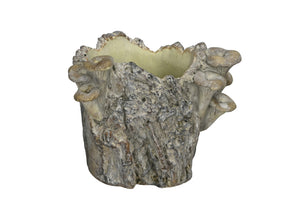 Blumentopf Topf Rinde mit Pilzen Übertopf natur Zement  Ø18x16,5cm H16cm