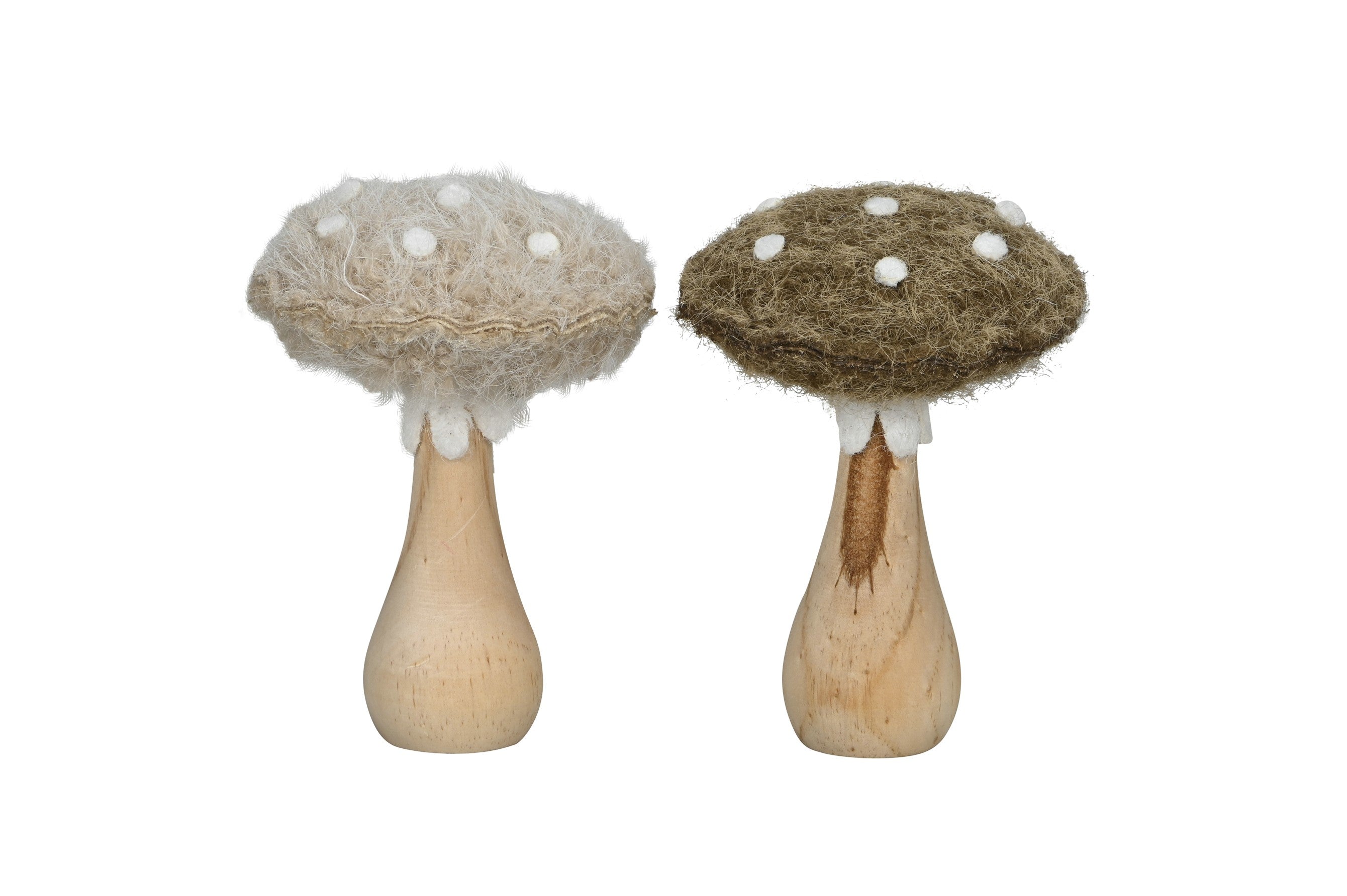 Pilz Holz Pinie 2fach sort. Wald creme/braun Ø9cm H12cm Herbst Dekoration