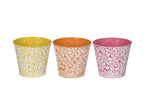 Lade das Bild in den Galerie-Viewer, Blumentopf Metall 3 Farben sortiert Ø11xH10cm &amp; Ø 3xH12cm Pflanztopf in Gelb, Orange oder Pink Übertopf 2 Größen Wählbar
