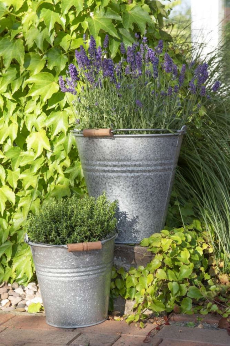 Zink Eimer mit Henkel Metall Ø23+30cm H21+30cm Pflanzkübel 2Größen wählbar