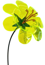 Lade das Bild in den Galerie-Viewer, Sonnenfänger Ringelblume 2erSet am Swingstab Gartenstecker Ø14cm H84cm neongrün Stecker Garten
