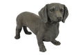 Dackel Figur Braun 50 x 18 x 31 cm – Dekorativer Hund als Gartenfigur, Tierfigur für Garten, Terrasse, Balkon und Wohnbereich