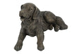 Golden Retriever Figur Braun 61 x 39 x 36 cm – Dekorativer Hund als Gartenfigur, Tierfigur für Garten, Terrasse, Balkon und Wohnbereich