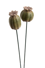 Lade das Bild in den Galerie-Viewer, Mohn Mohnkapsel okka-grün Keramik 2fach sort. Gartenstecker H34cm + H44cm Stecker Herbst Garten 2Größen wählbar
