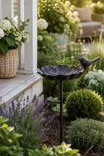 Lade das Bild in den Galerie-Viewer, Vogeltränke  Futterplatz Vogelbad Metall ArtFerro Ø16cm H106cm 1Vogel Gartenstecker Deko Stecker Garten Futterstadion
