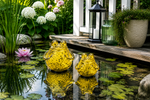 Lade das Bild in den Galerie-Viewer, Glasfrosch schwimmend Frosch 2er Set grün Dekorative Wasserdeko aus Glas 9x10cm &amp; 12x13cm für Teich Wasserschale Brunnen Garten &amp; Veranda
