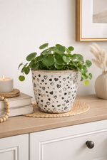 Lade das Bild in den Galerie-Viewer, Blumentopf Herzen Weiß-Schwarz 2erSet Ø14cm Höhe 13cm Moderner Pflanztopf aus Steinzeug Dekorativer Übertopf für Zimmerpflanzen &amp; Kräuter
