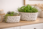 Lade das Bild in den Galerie-Viewer, Schalen Set 2er Herzen Weiß-Schwarz 22x10xH11 cm &amp; 26x13xH13 cm Dekorative Steinzeug Schalen im modernen Design
