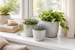 Lade das Bild in den Galerie-Viewer, Metall Topf Übertopf Blumentopf 3er Set weiß/grau Ø16+18+20cm Pflanzgefäß
