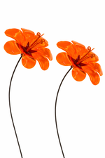 Lade das Bild in den Galerie-Viewer, Sonnenfänger Ringelblume 2erSet am Swingstab Gartenstecker Ø14cm H84cm orange Stecker Garten
