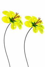 Lade das Bild in den Galerie-Viewer, Sonnenfänger Ringelblume 2erSet am Swingstab Gartenstecker Ø14cm H84cm neongrün Stecker Garten
