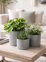 Lade das Bild in den Galerie-Viewer, Blumentopf Metall 3erSet rund grau Ø11+14+17cm Vintage Schale
