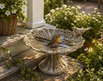 Lade das Bild in den Galerie-Viewer, Vogelbad Vogeltränke Gartendeko Schale auf Fuß Ø17,5x15cm H8cm natur Shappy Futterstelle Garten Wasserstelle
