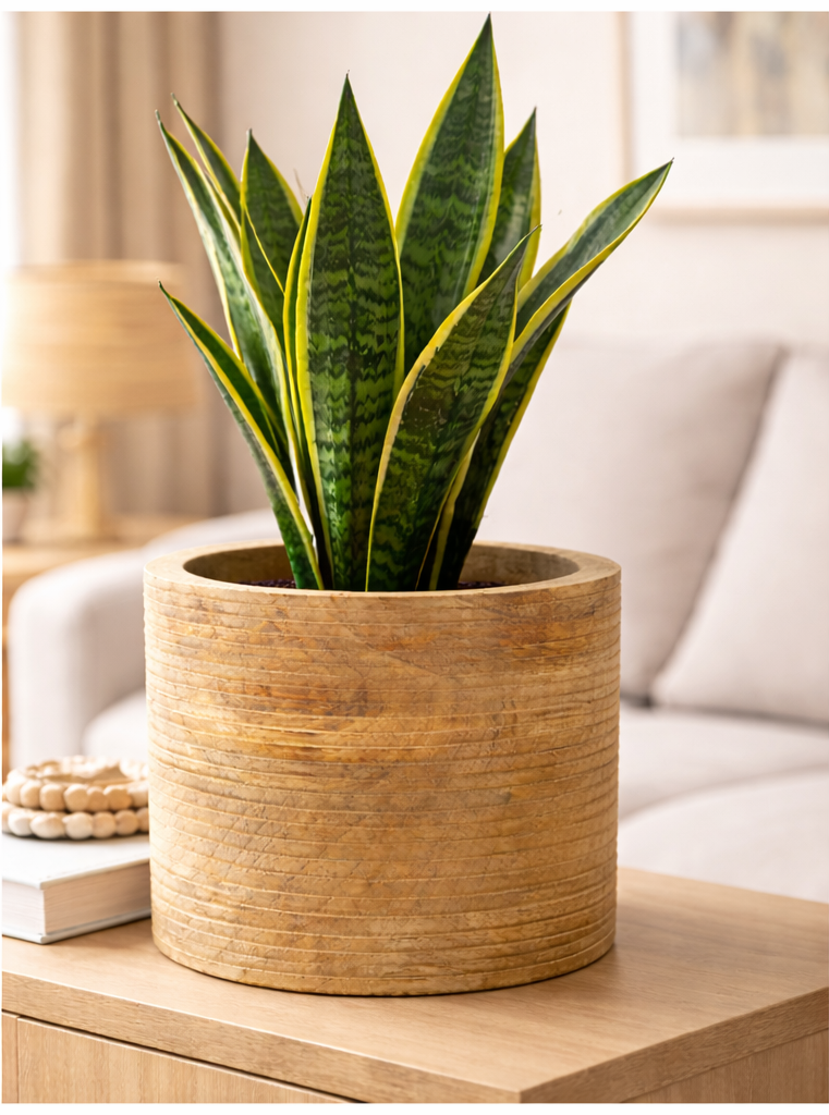 Übertopf Holz "DOST" natur Blumentopf Ø15cm H14,5cm