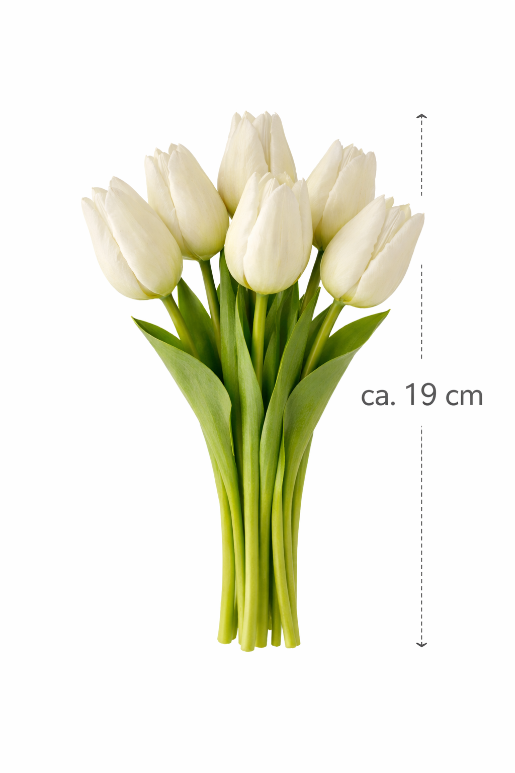 6x Tulpen künstlich mini L19cm Real Touch Kunstblumen weiss Frühling Deko