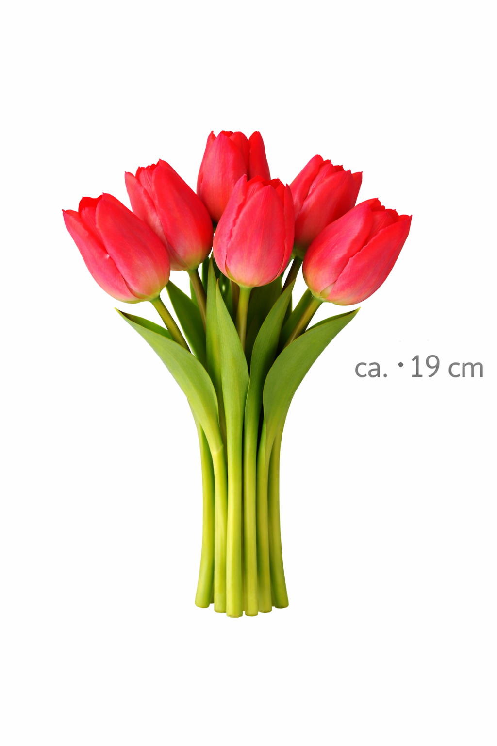 6x Tulpen künstlich mini L19cm Real Touch Kunstblumen dunkelrosa Frühling Deko