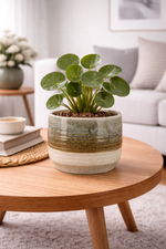 Lade das Bild in den Galerie-Viewer, Blumentopf Übertopf Stone "ECOLO" grün/natur Ø8cm + 13cm H7,5cm + 11cm 2Größen wählbar
