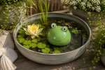 Lade das Bild in den Galerie-Viewer, Schwimmfrosch aus Porzellan Grün Dekorativer Schwimmfrosch für Miniteich Wasserschale und Gartenteich 14x12cm H10cm Teichdekoration für Garten Terrasse und Balkon
