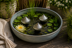 Lade das Bild in den Galerie-Viewer, Glas-Schwimmlinse silber 3er Set Schwimmende Teichdekoration aus Glas Ø 6,5cm Dekokugeln für Miniteich Wasserschale Gartenteich und Terrasse
