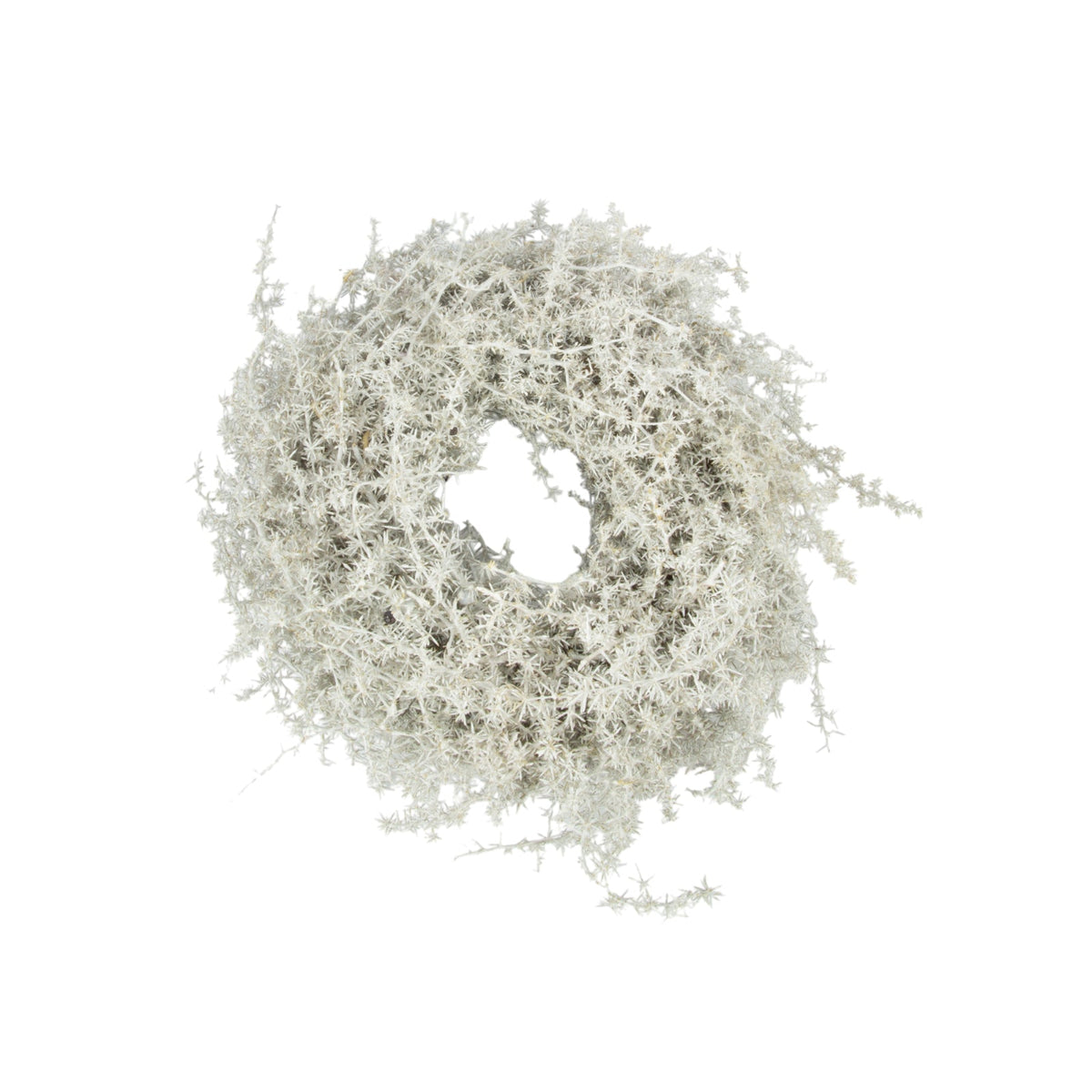 Asparagus Kranz 35 cm in Weiss – Dekorativer Herbstkranz aus Naturmaterial – Türkranz, Wandkranz & Tischdeko – Herbstliche Dekoration
