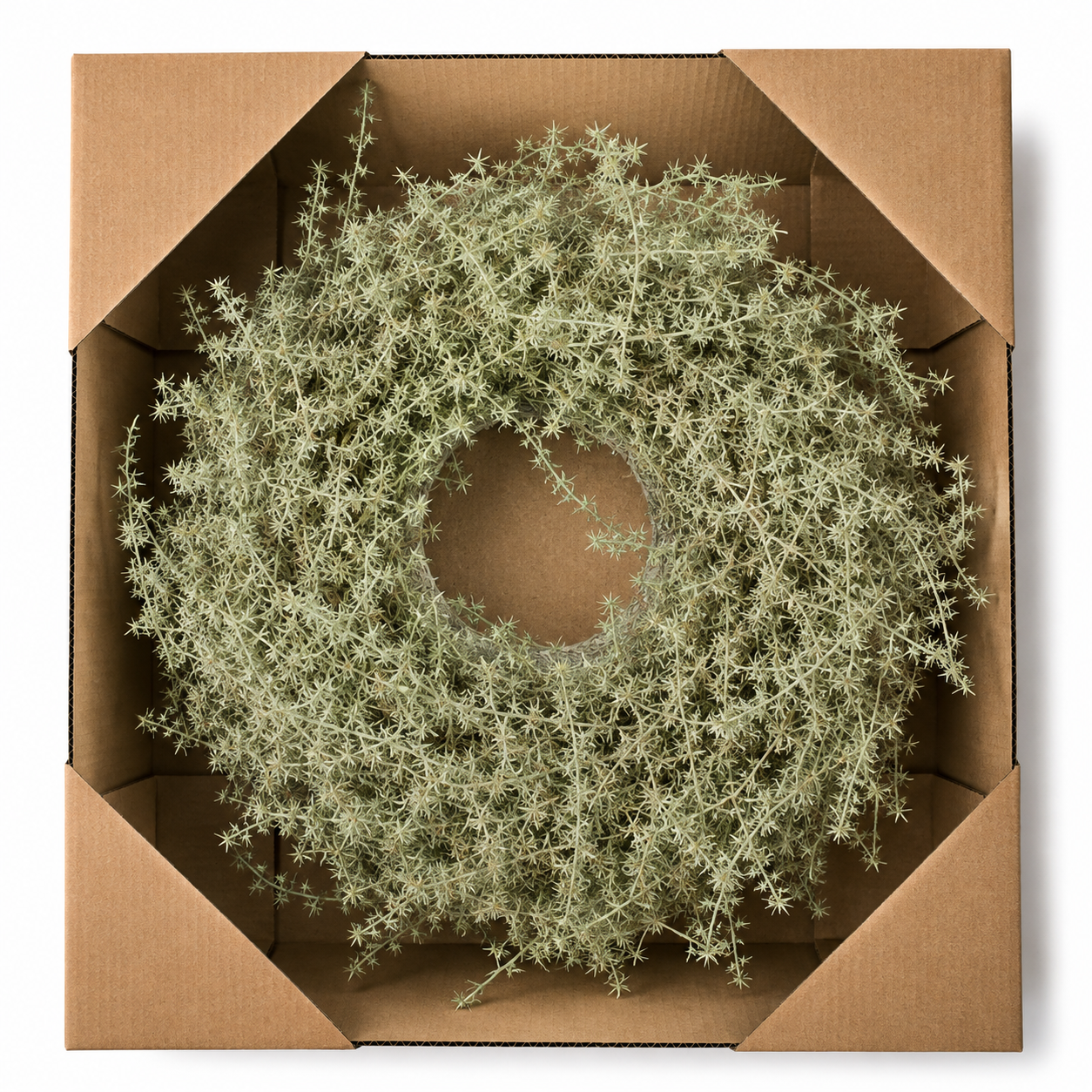 Asparagus Kranz 35 cm in Grün – Dekorativer Herbstkranz aus Naturmaterial – Türkranz, Wandkranz & Tischdeko – Herbstliche Dekoration