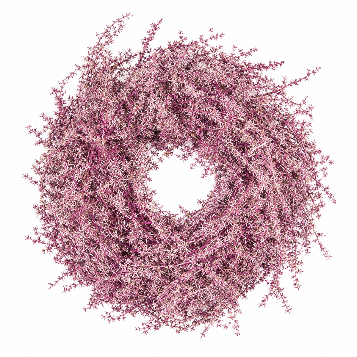 Asparagus-Kranz Ø 35 cm in Aubergine – Naturdeko | Türkranz, Wandkranz & Tischdeko