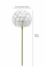 Lade das Bild in den Galerie-Viewer, Allium-Stecker Metall Gartenstecker weiß in 2 Größen

