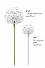 Lade das Bild in den Galerie-Viewer, Allium-Stecker Metall Gartenstecker weiß in 2 Größen
