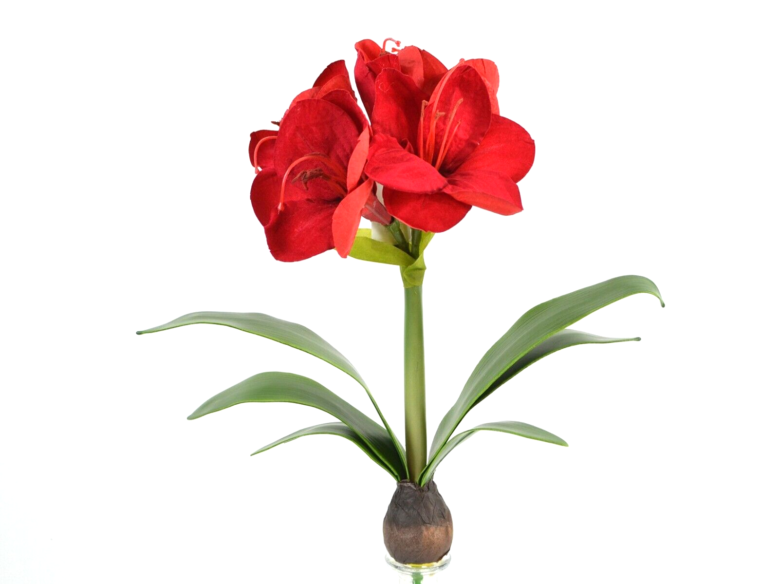 Amaryllis 4Blüten 1Knospe mit Zwiebel künstlich rot H42cm