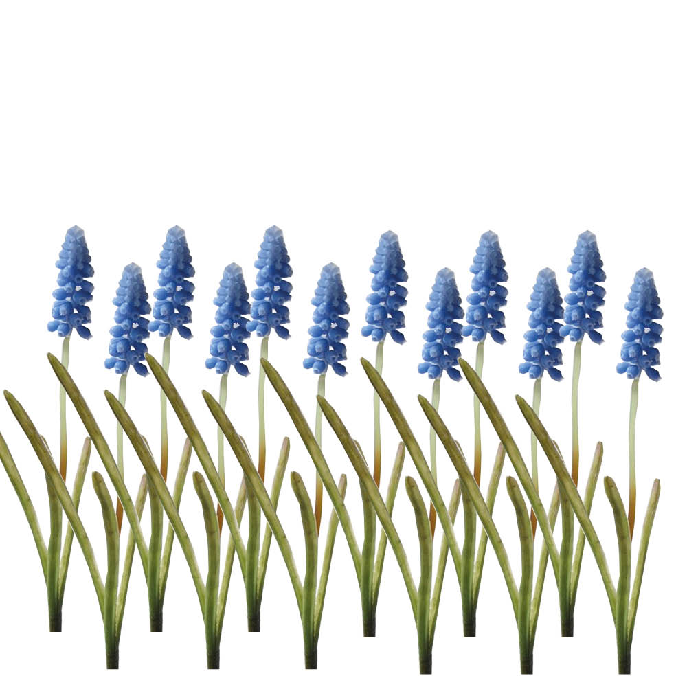 Muscari 12er Set blau künstlich H26cm Perlhyazinthe