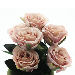 Rose 6x Madame altrosa L37 cm