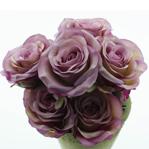 Rose 6x Madame lavendel L37 cm