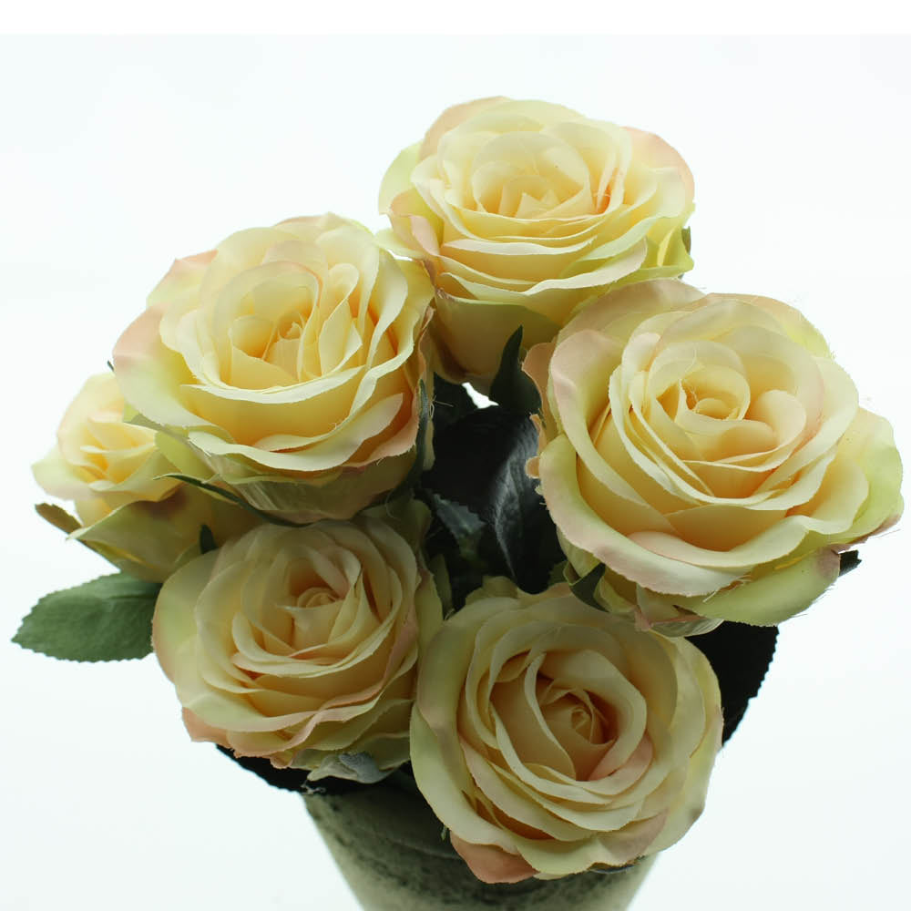 Rose 6x Madame creme L37 cm