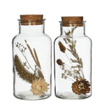 Lade das Bild in den Galerie-Viewer, Trockenblumen in Flasche mit Korken Medizinflasche 2er Set Boho-Deko  2Größen

