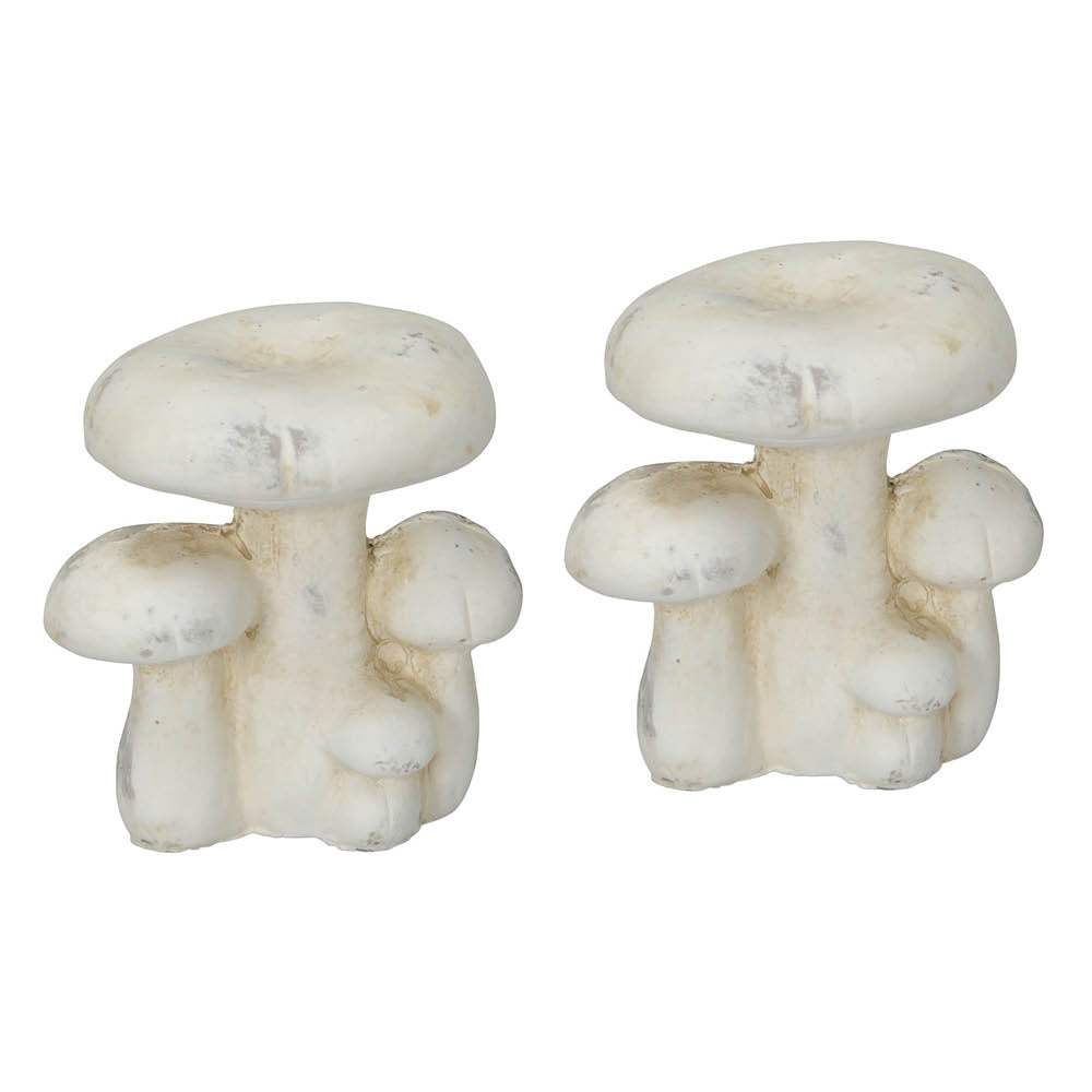 Pilzgruppe Zement 2erSet Pilz creme H10 cm