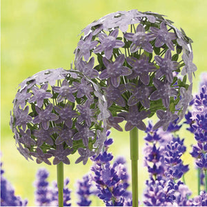 Allium Stecker Metall Gartenstecker Purple in 2Größen wählbar
