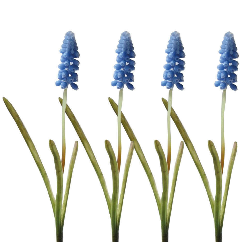 Muscari 12er Set blau künstlich H26cm Perlhyazinthe
