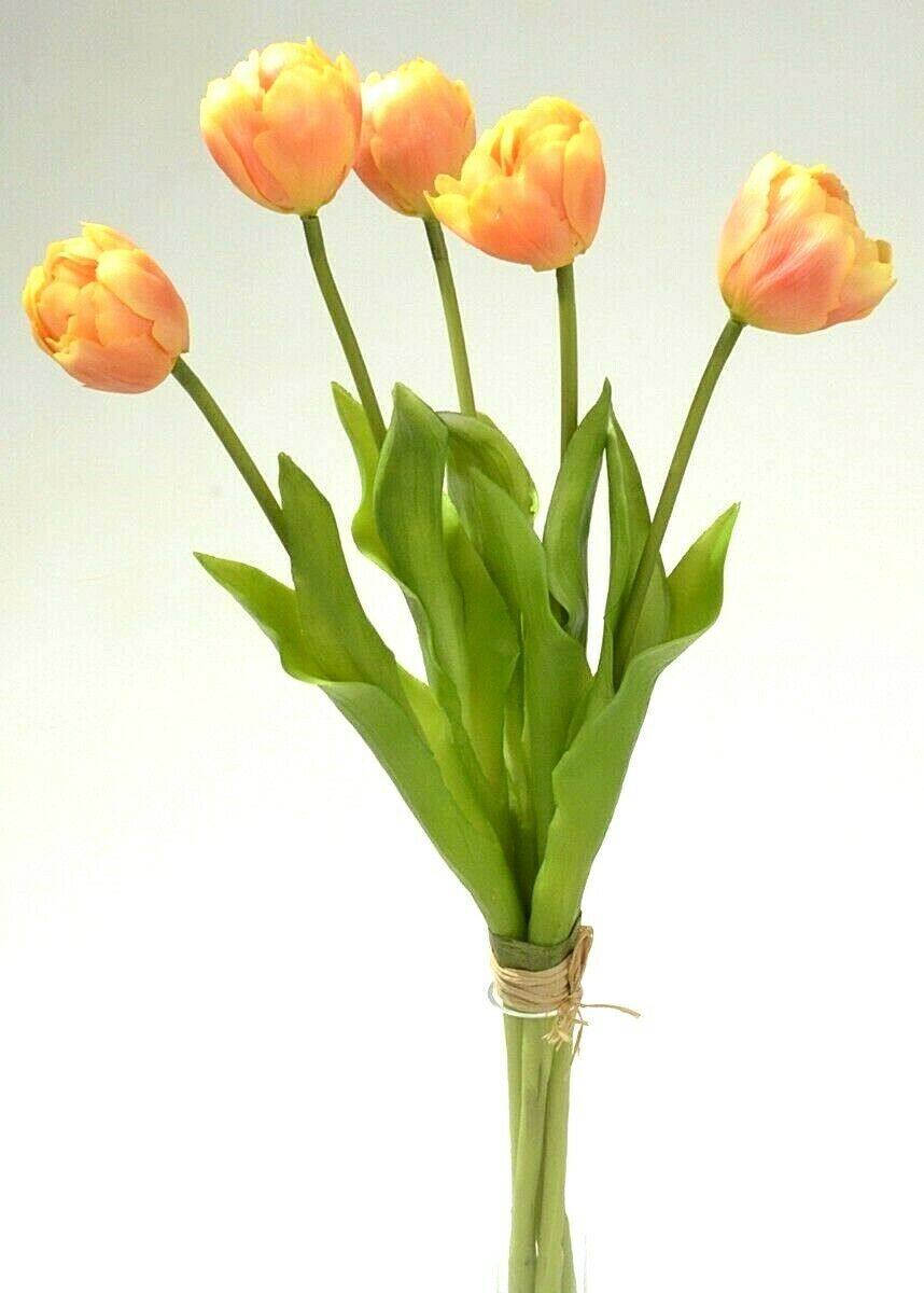 Tulpenbund Real Touch 43cm apricot Paeonientulpen künstlich Tulpe 5St.