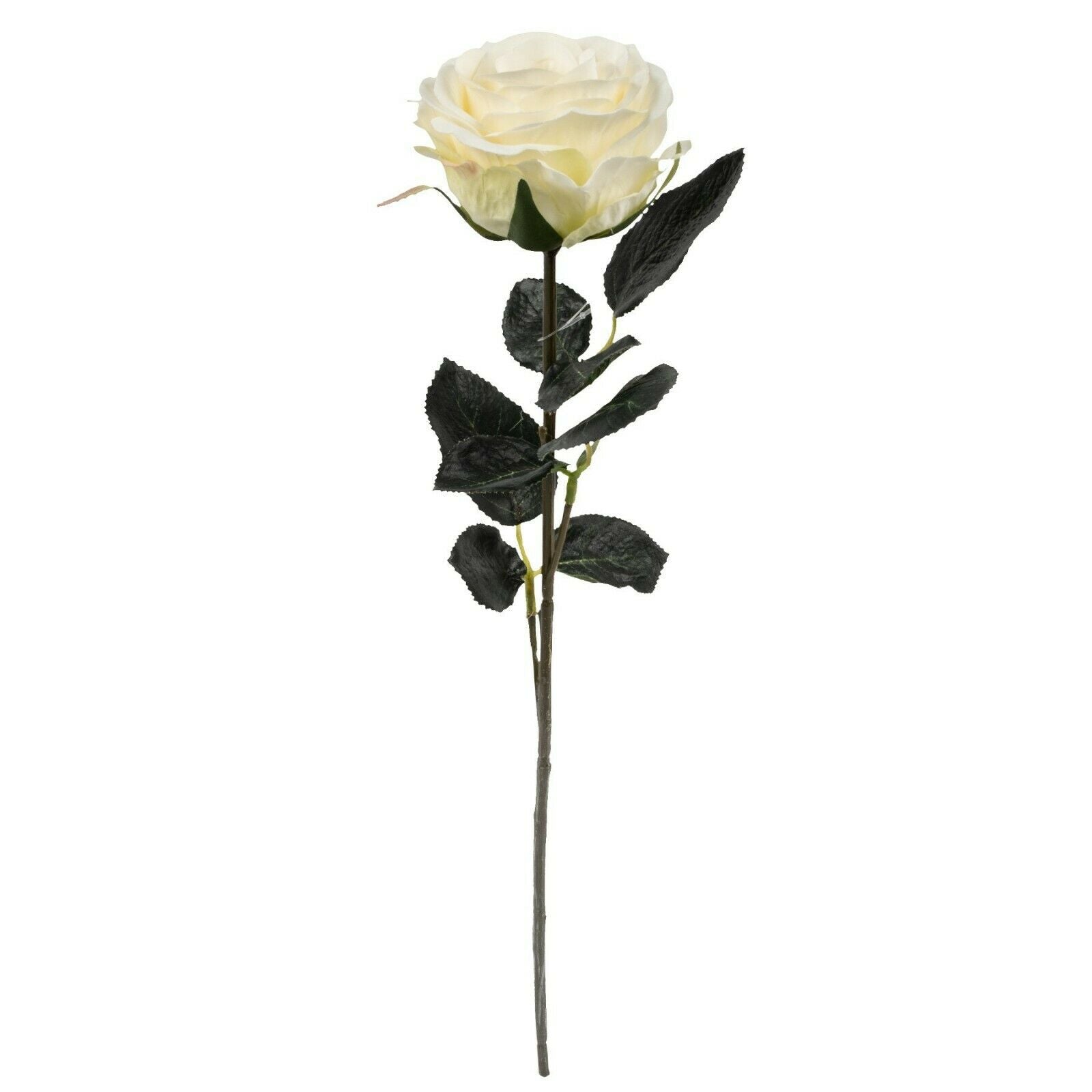 Rose 6x Madame weiß L37 cm