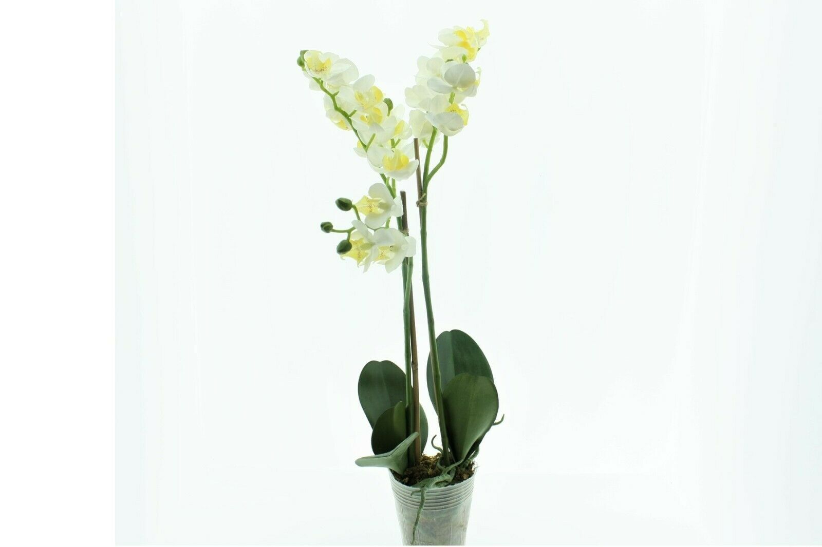 Künstliche Orchidee creme Phalaenopsis im Topf H60cm 27BLüten