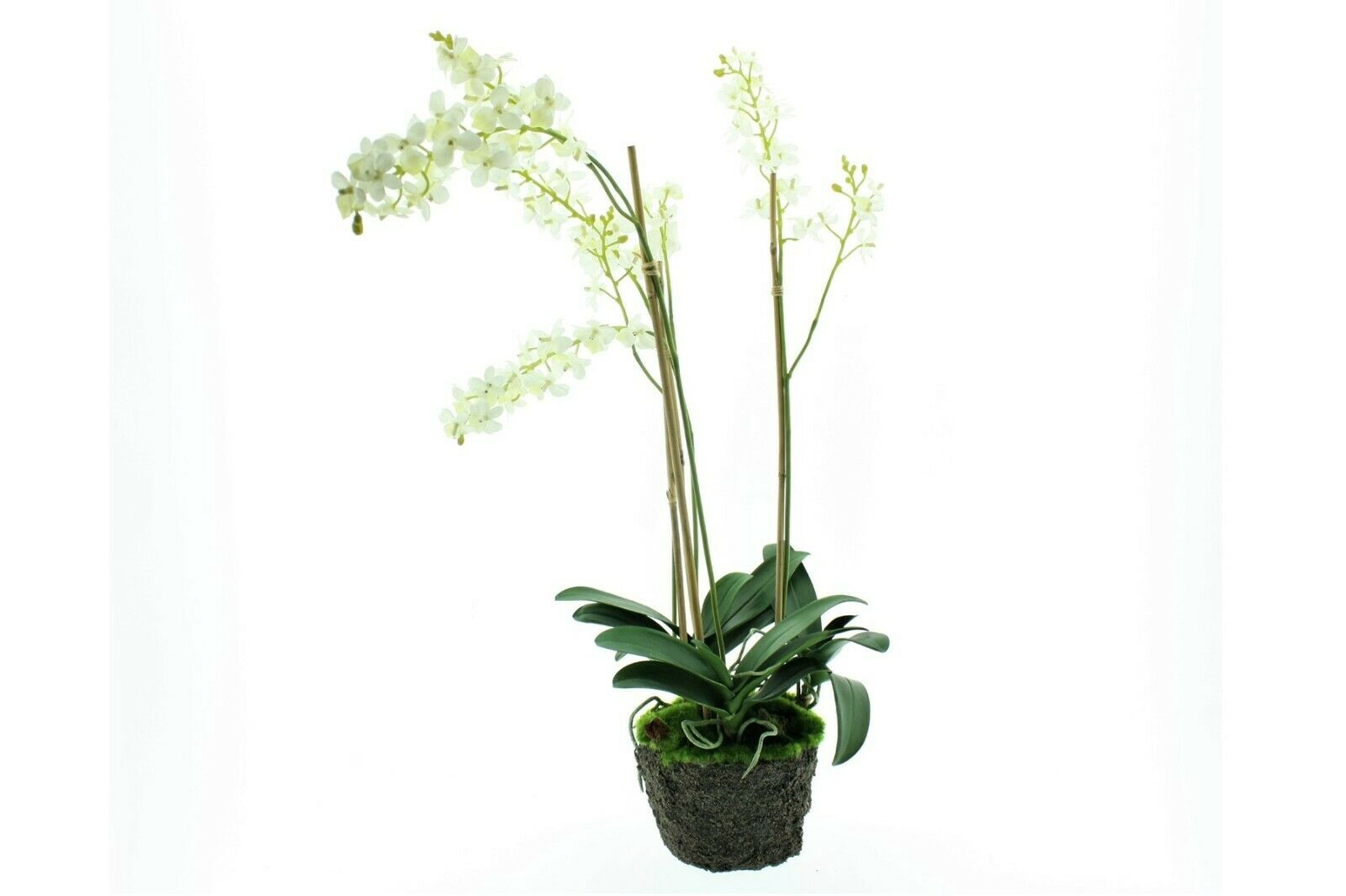 Künstliche Orchidee weiß Phalaenopsis mit Erdballen H82cm