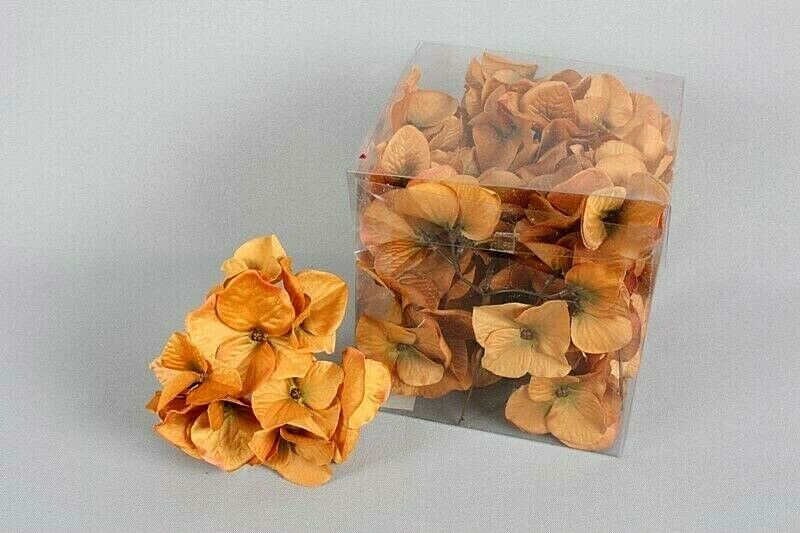 Hortensien cognac 12St/Box Seidenblume Ø11 cm