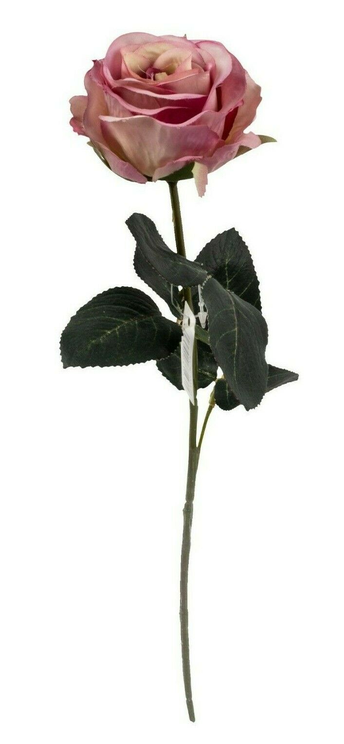 Rose 6x Madame rosa L37 cm