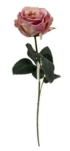 Rose 6x Madame rosa L37 cm