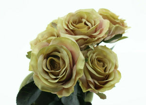 Rose 6x Madame rosa/grün L37 cm