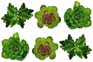Skullente künstlich Kakteen Mix 3sortiert 10-12 cm Box/6